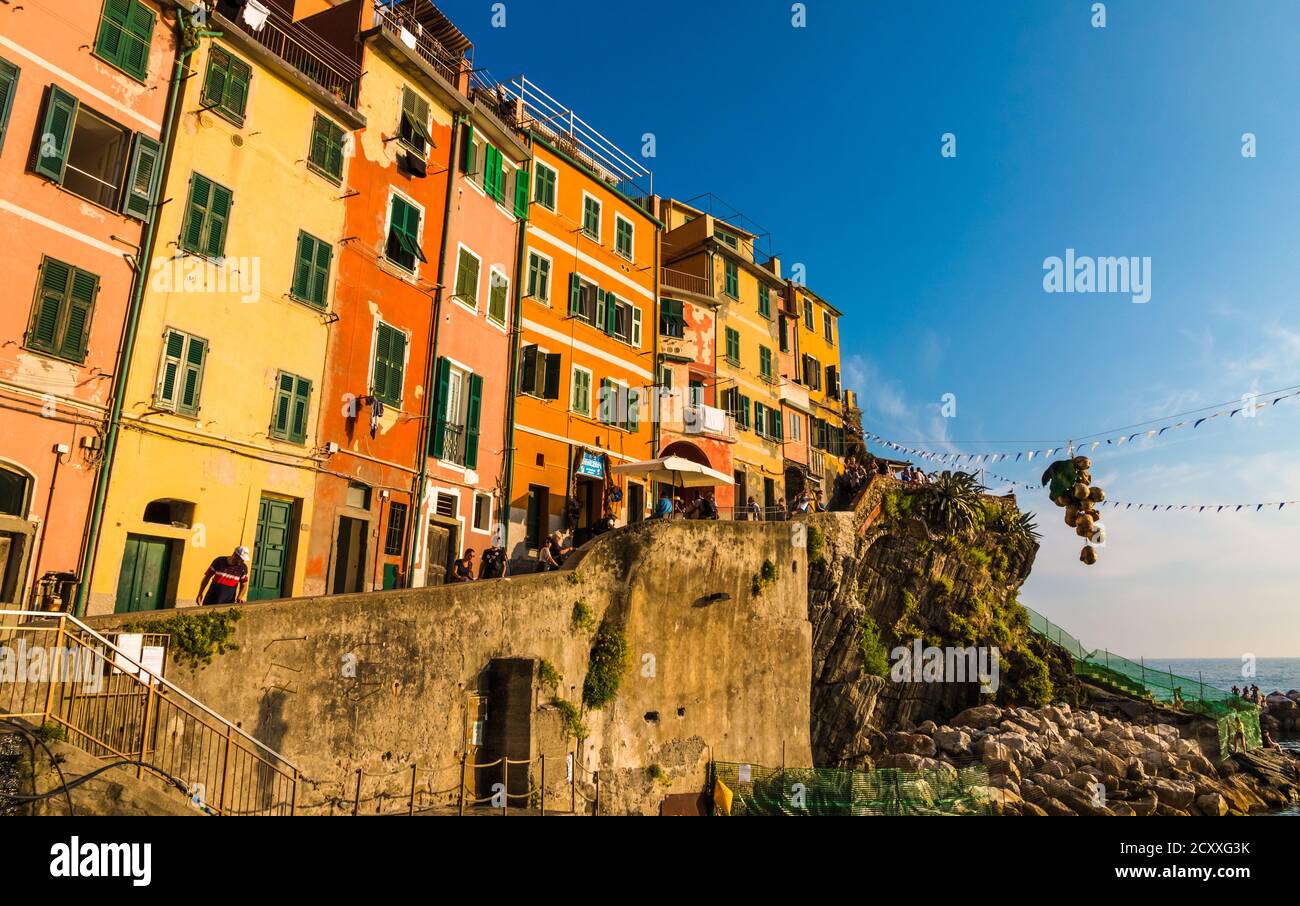 Bella vista panoramica delle storiche case colorate a torre in fila al molo e un mazzo di uve dorate appese nel centro di Riomaggiore in... Foto Stock