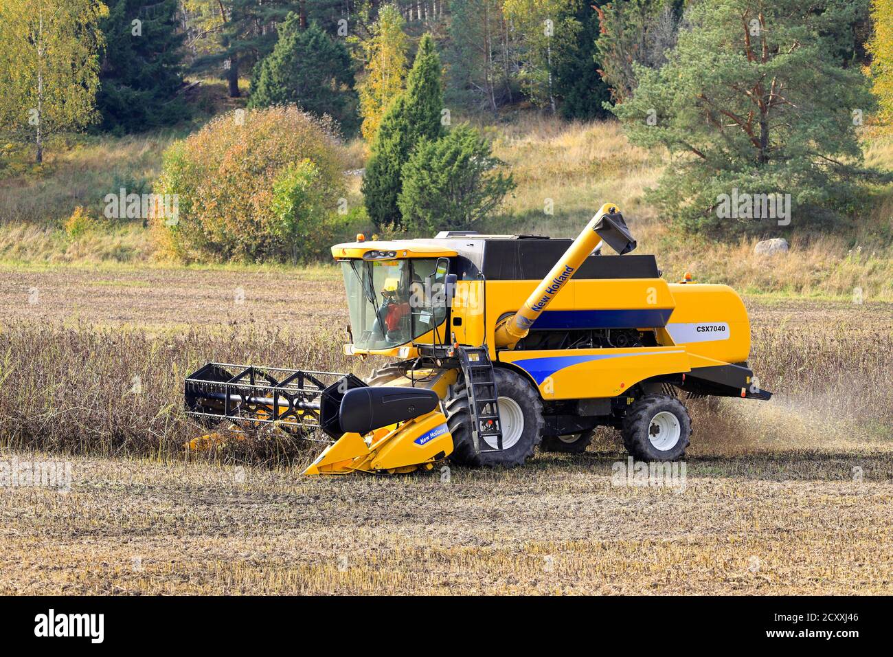 Coltivatore che raccoglie fagioli larghi con la mietitrebbia New Holland CSX7040. Questo raccolto ricco di proteine sarà usato come alimentazione di pesce. Sauvo, Finlandia. 26 settembre 2020. Foto Stock
