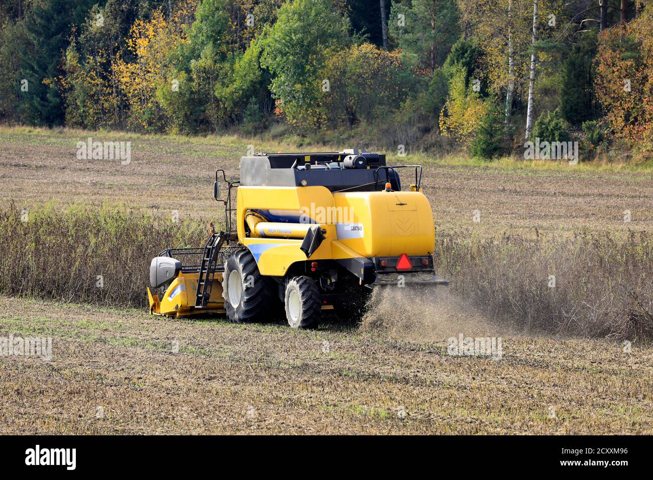 Coltivatore che raccoglie fagioli larghi con la mietitrebbia New Holland CSX7040. Questo raccolto ricco di proteine sarà usato come alimentazione di pesce. Sauvo, Finlandia. 26 settembre 2020. Foto Stock