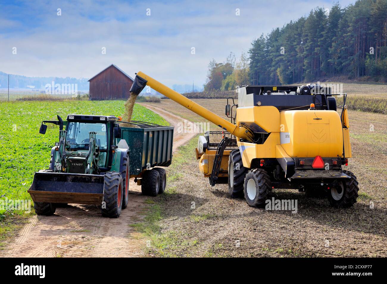 La mietitrebbia New Holland CSX7040 scarica il fagiolo largo raccolto sul rimorchio del trattore Fendt in un bellissimo giorno d'autunno. Sauvo, Finlandia. 26 settembre 2020. Foto Stock