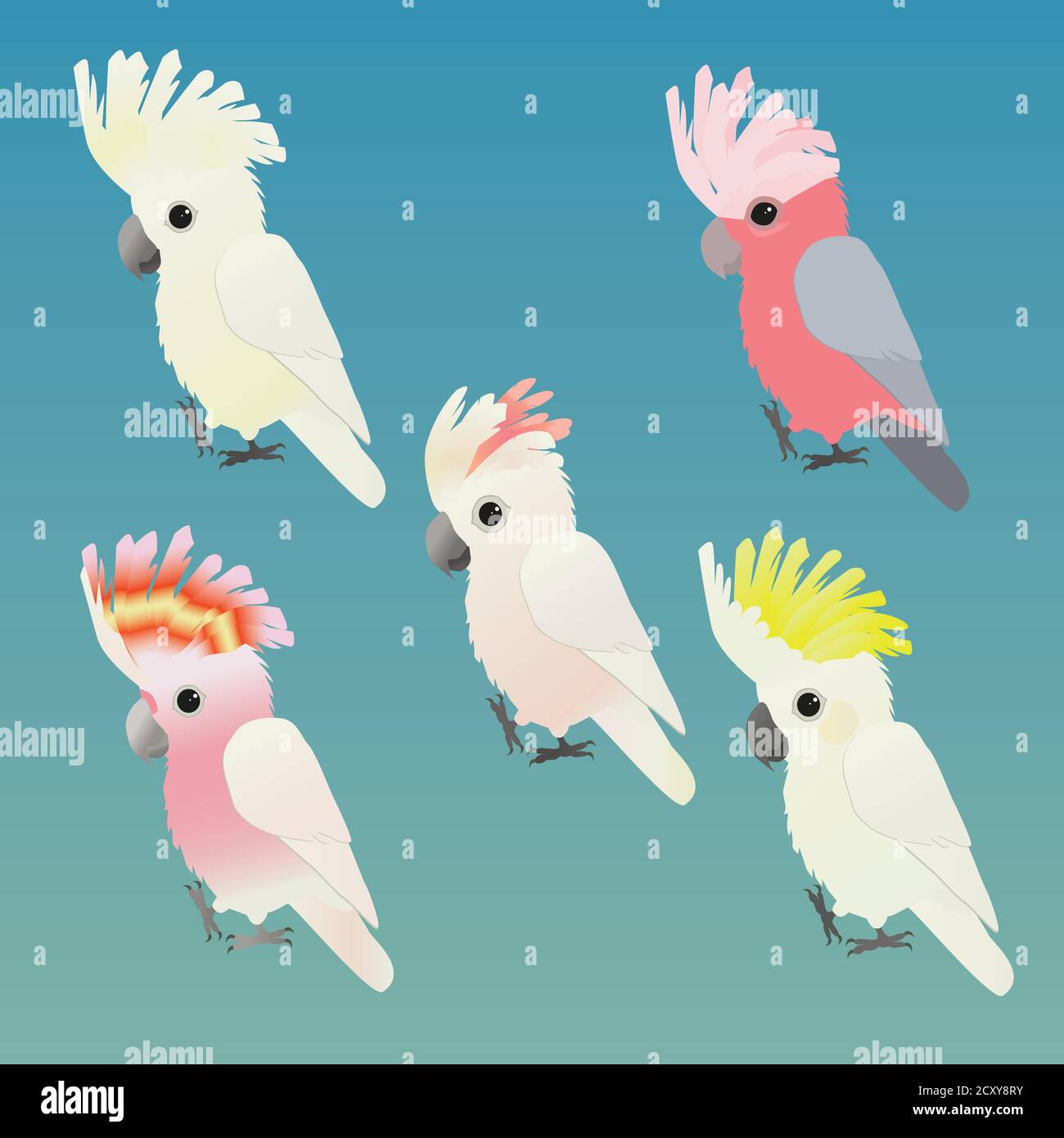 Un'illustrazione di cinque specie diverse carine di cockatoo Illustrazione Vettoriale