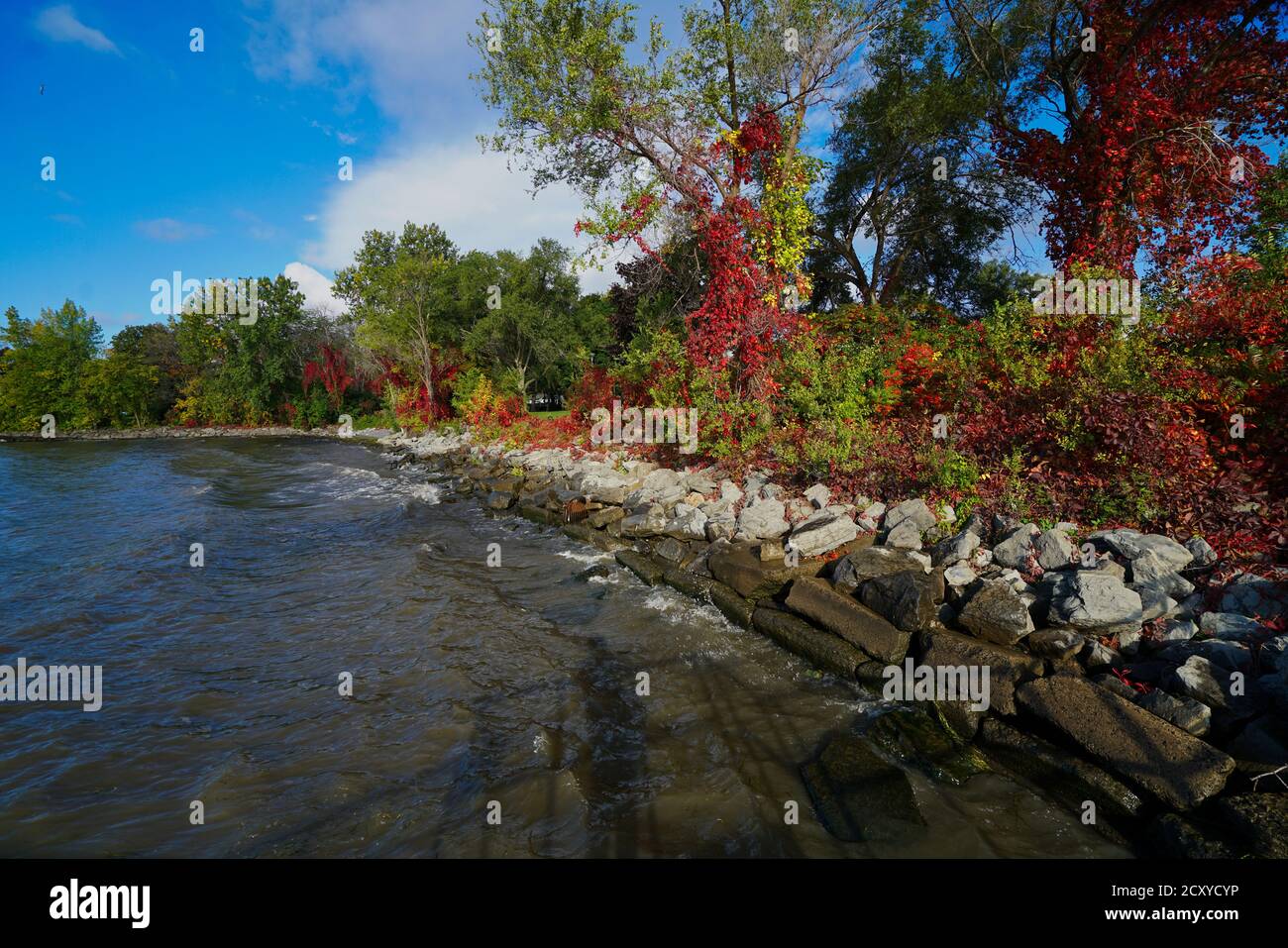 Dorval,Quebec,Canada,1 Ottobre 2020.Autunno costa in Dorval Quebec .Credit: Mario Beauregard/Alamy News Foto Stock