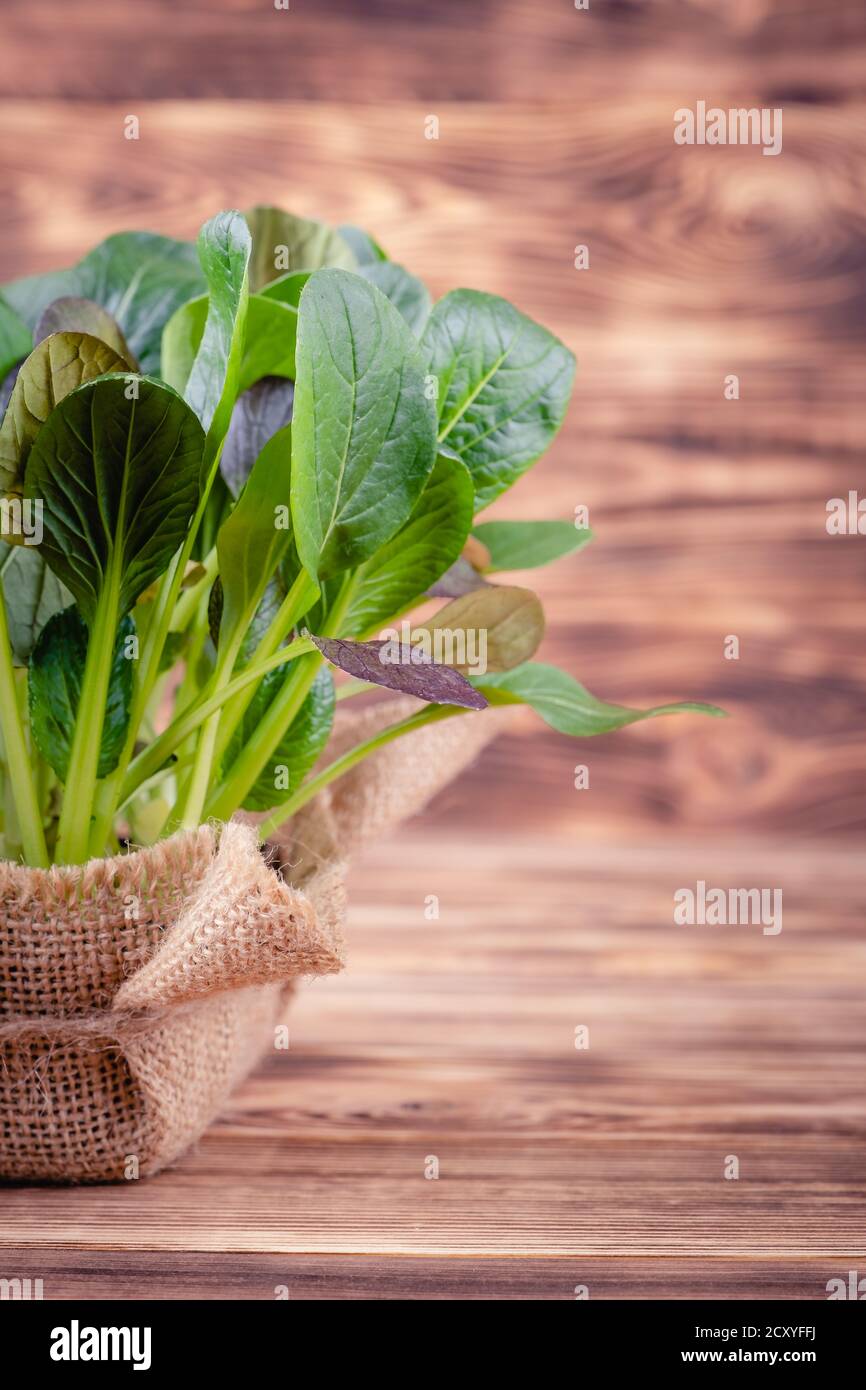 Foglie fresche di insalata in una ciotola di legno su legno rustico sfondo Foto Stock