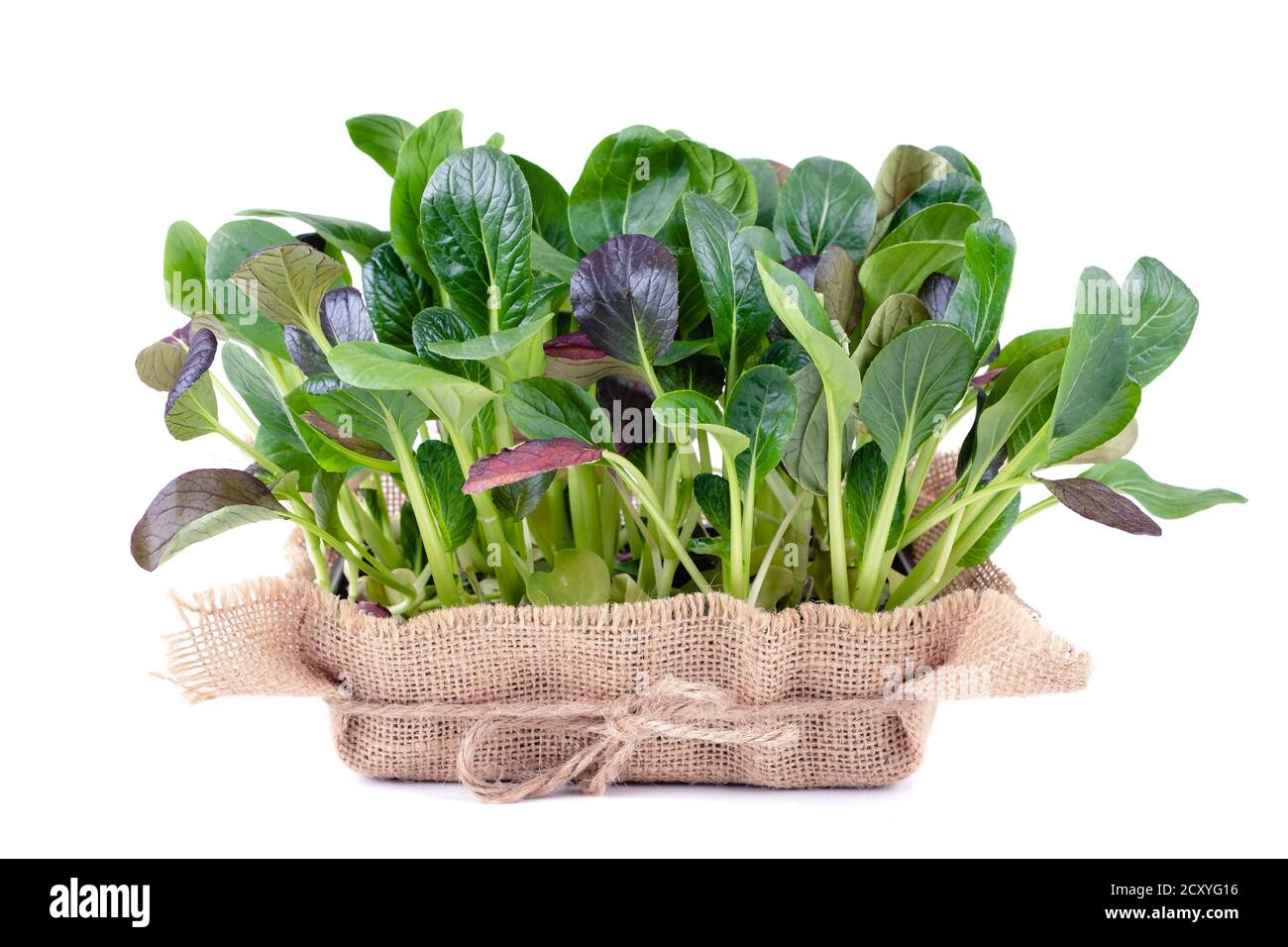 Foglie di insalata fresche in una ciotola di legno su sfondo bianco Foto Stock