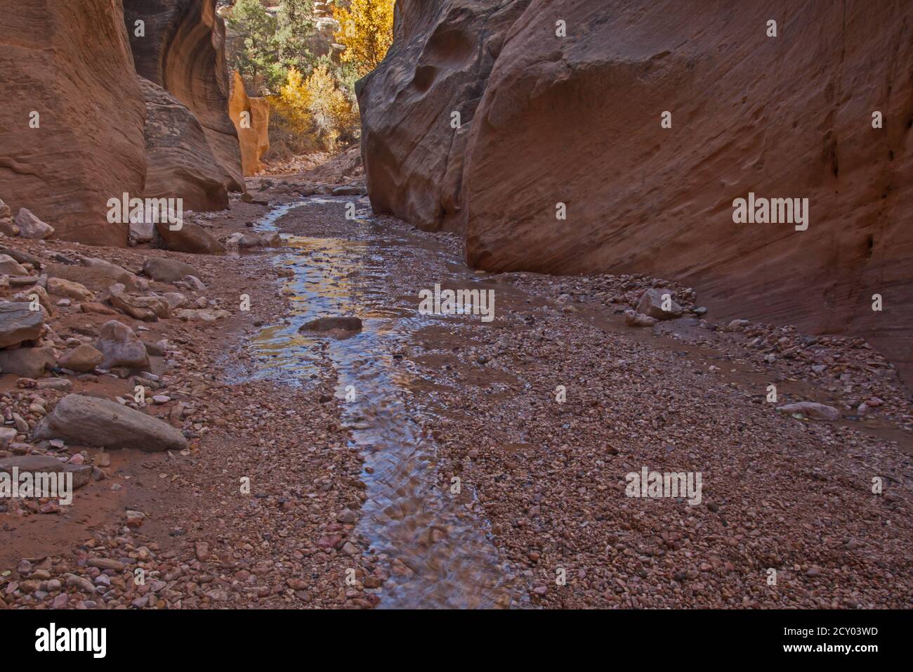 Willis Creek 2336 Foto Stock
