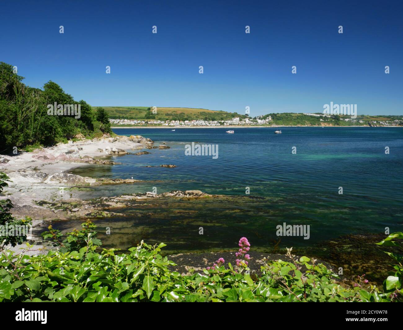 La costa rocciosa rivolta a est di St George's o Looe Island, Cornovaglia. Foto Stock