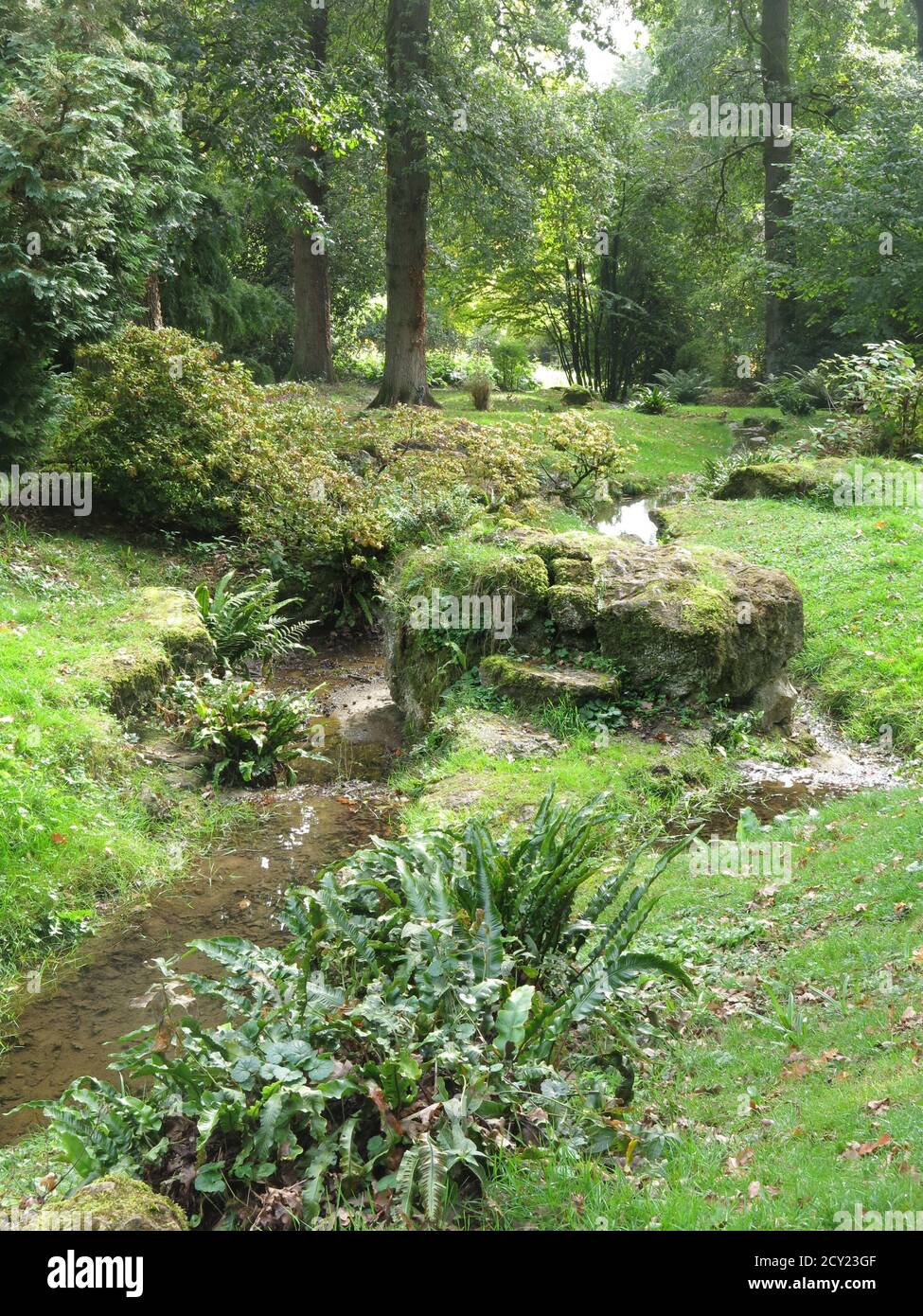 Vista sui terreni dell'Arboreto di Batsford di un paesaggio in stile giapponese con corsi d'acqua, felci, rocce e ghiacci. Foto Stock