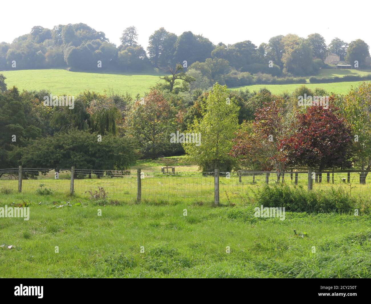 Vista dai giardini della Bourton House del paesaggio del Cotswold di colline verdi e alberi d'autunno; settembre 2020. Foto Stock