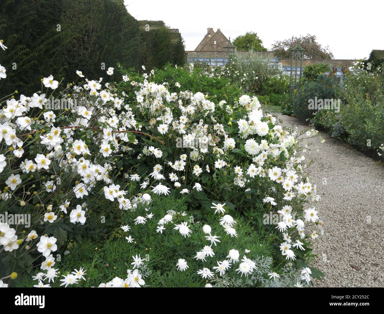 La tavolozza muta del Giardino Bianco, una delle camere con giardino della Bourton House, crea un tranquillo paesaggio di romantici fiori. Foto Stock