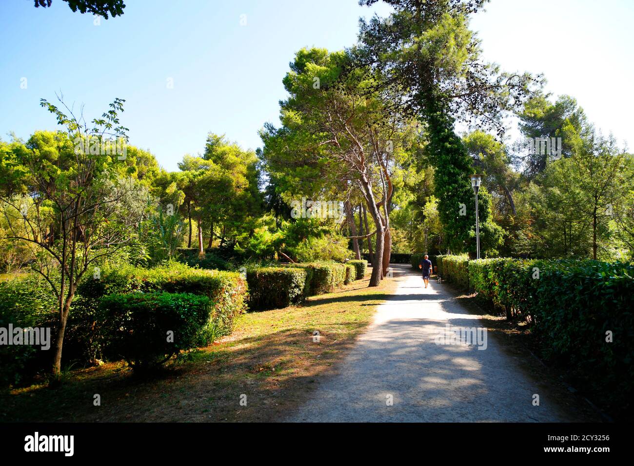 Riserva naturale Pineta Dannunziana o Parco D'Avalos a Pescara, Italia. Foto Stock