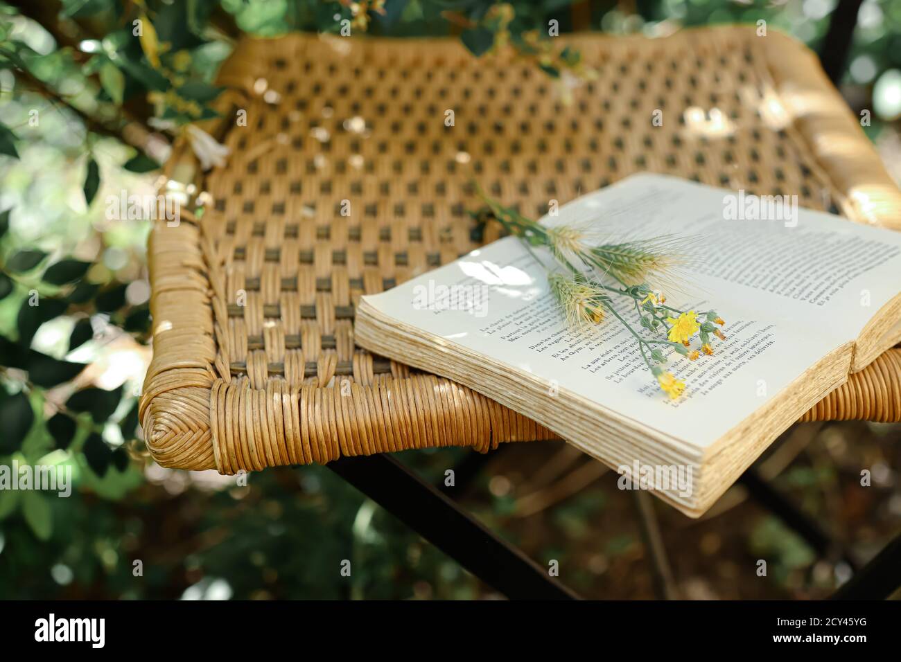 Fiori di campo su un libro aperto su vecchia sedia in vimini nel giardino, filtre retrò, natura e concetto di vita lenta Foto Stock