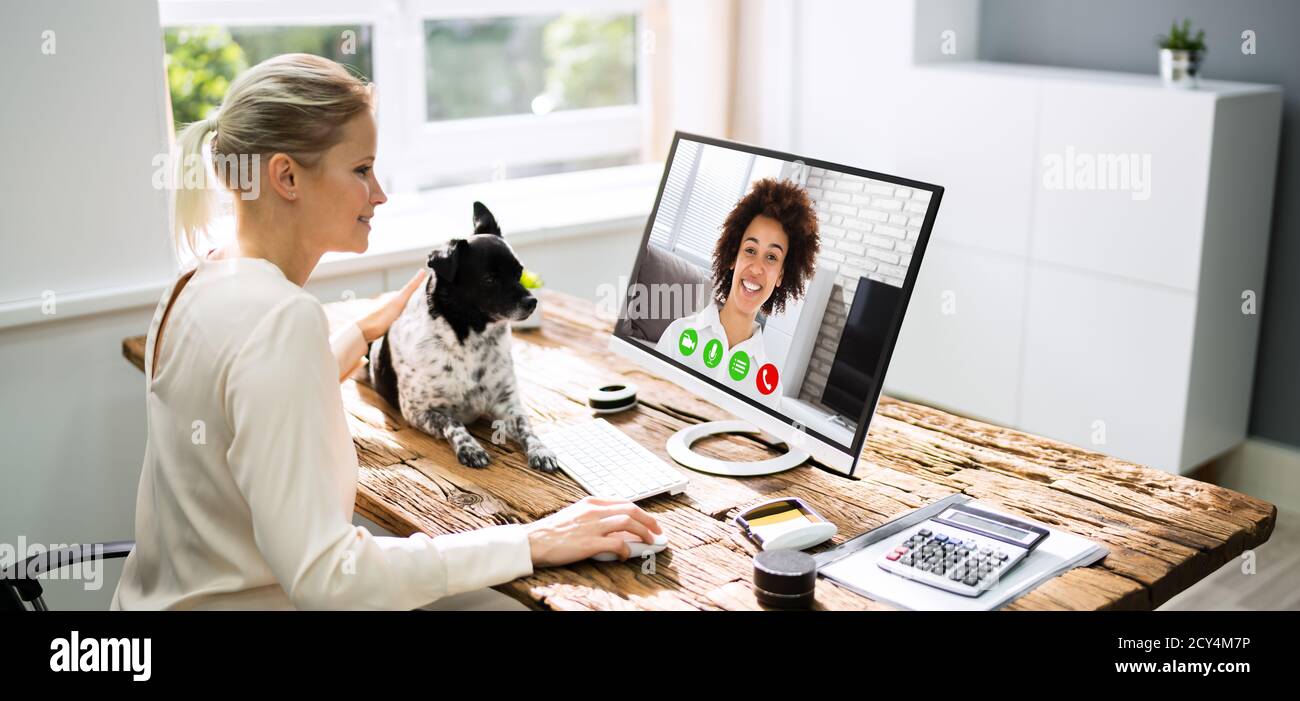 Webinar di formazione online o conferenza con Dog Foto Stock