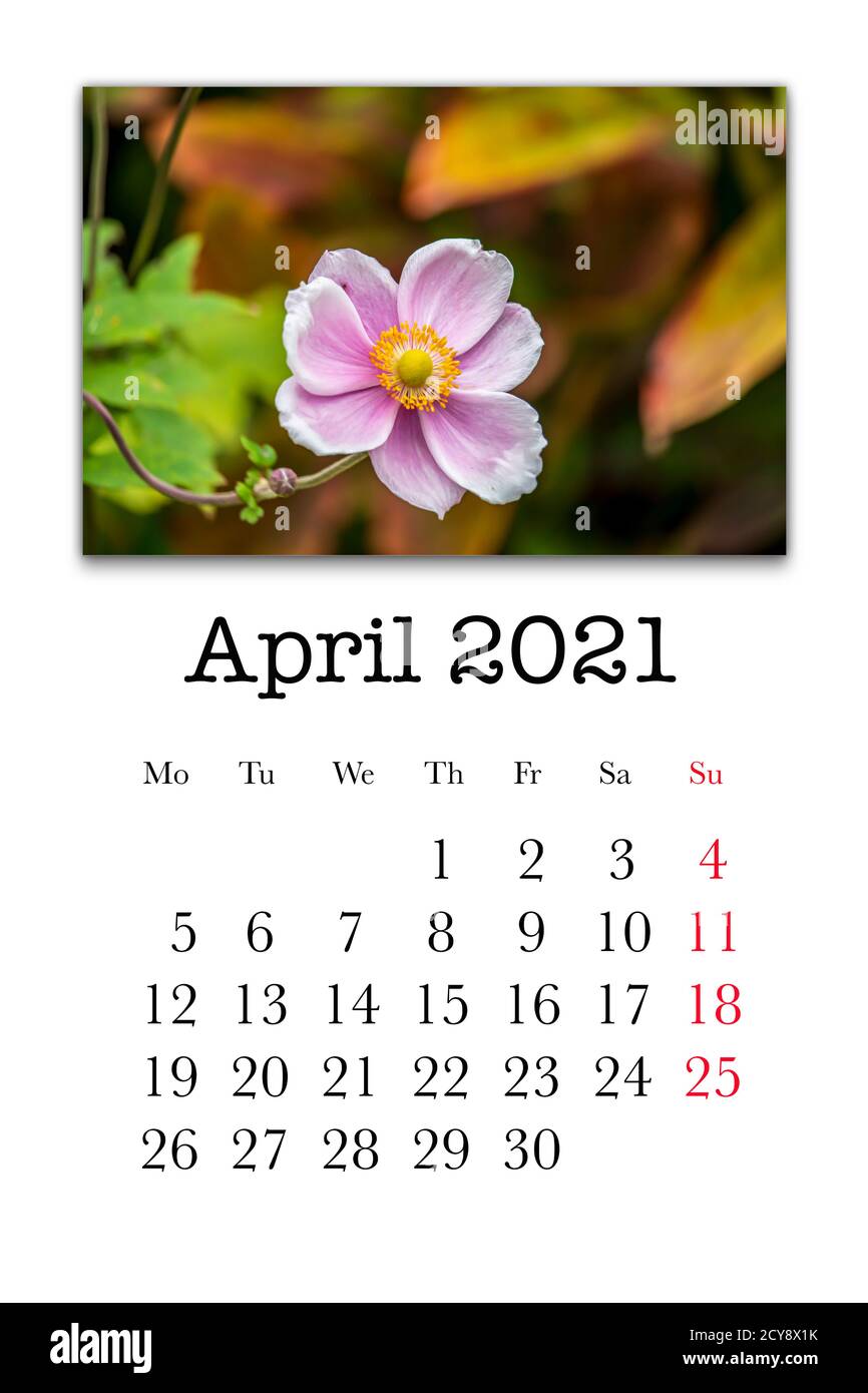 Scheda del calendario per il mese di aprile 2021 Foto stock - Alamy