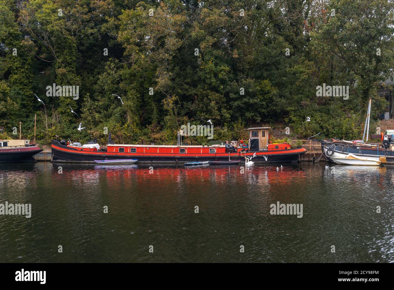 Red houseboat / chiatta ormeggiata sull'isola di Platt Eyot lungo il fiume Tamigi in Hampton a West London, Londra, Inghilterra, Regno Unito Foto Stock