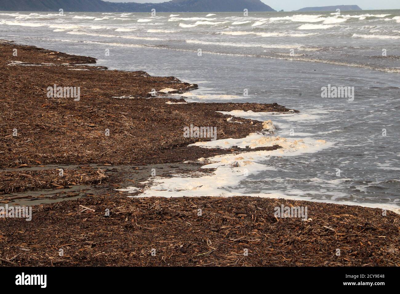 Inquinamento forestale - sbarra della spiaggia Foto Stock