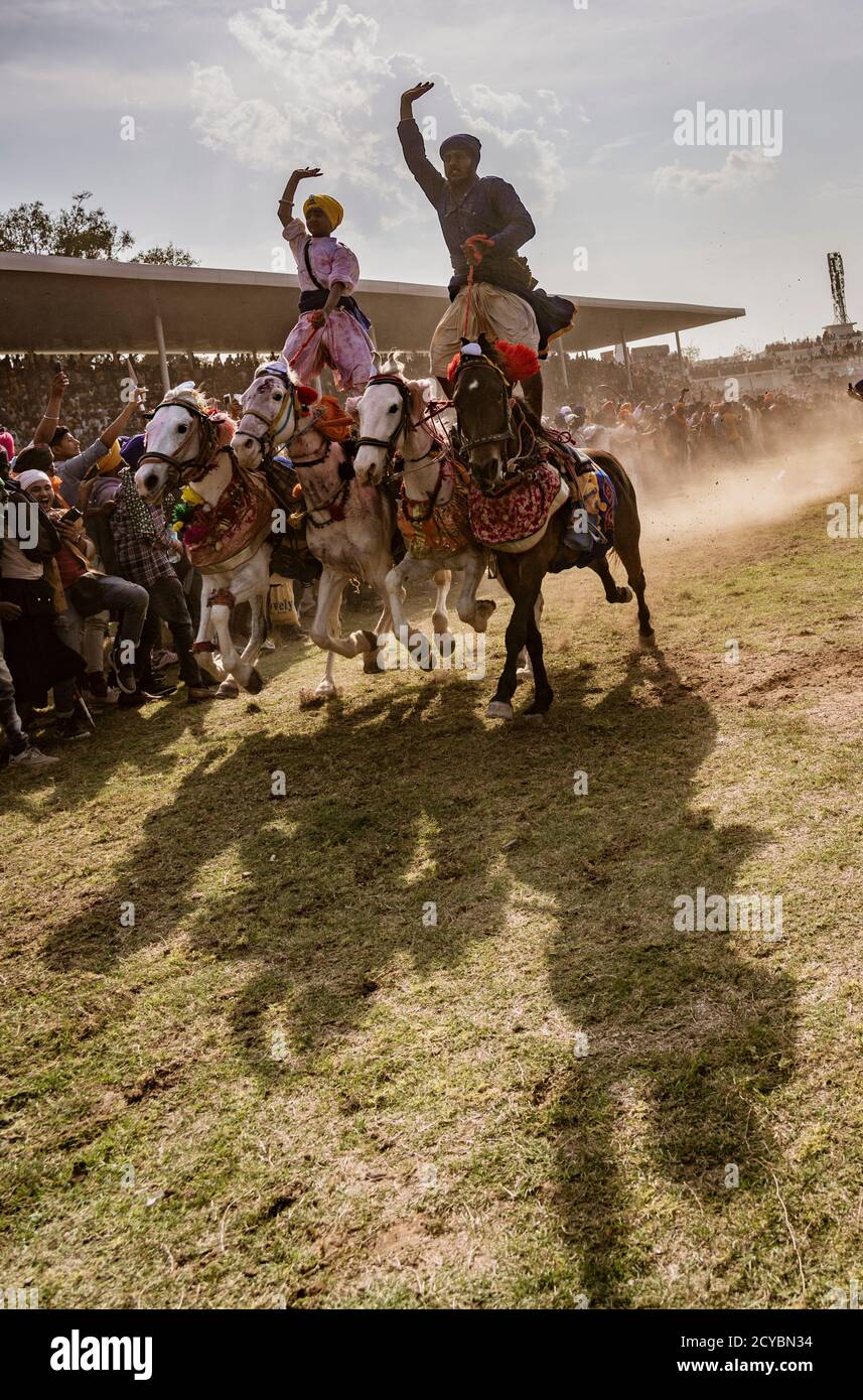 Il Punjab, India, Marzo 2, 2018: Hola Mohalla Festival - due uomini ride quattro cavalli, in piedi sulle loro spalle, come essi gara entro pollici del pubblico Foto Stock