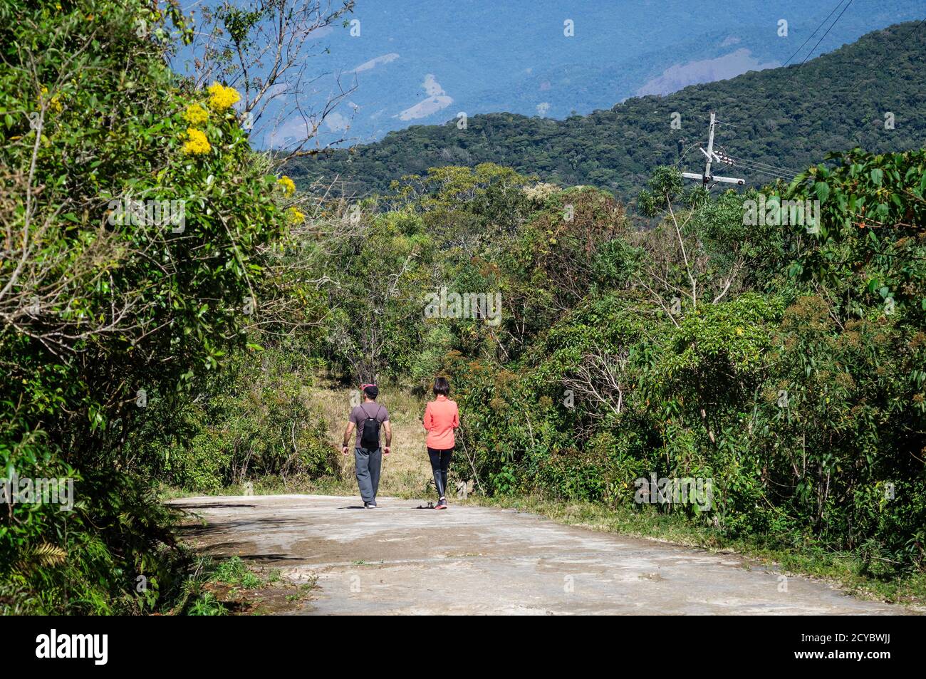 PARATY, RIO DE JANEIRO / BRASILE - 17 AGOSTO 2019: La fitta vegetazione verde intorno alla discesa percorso strada all'interno del parco nazionale Serra da Bocaina. Vista w Foto Stock