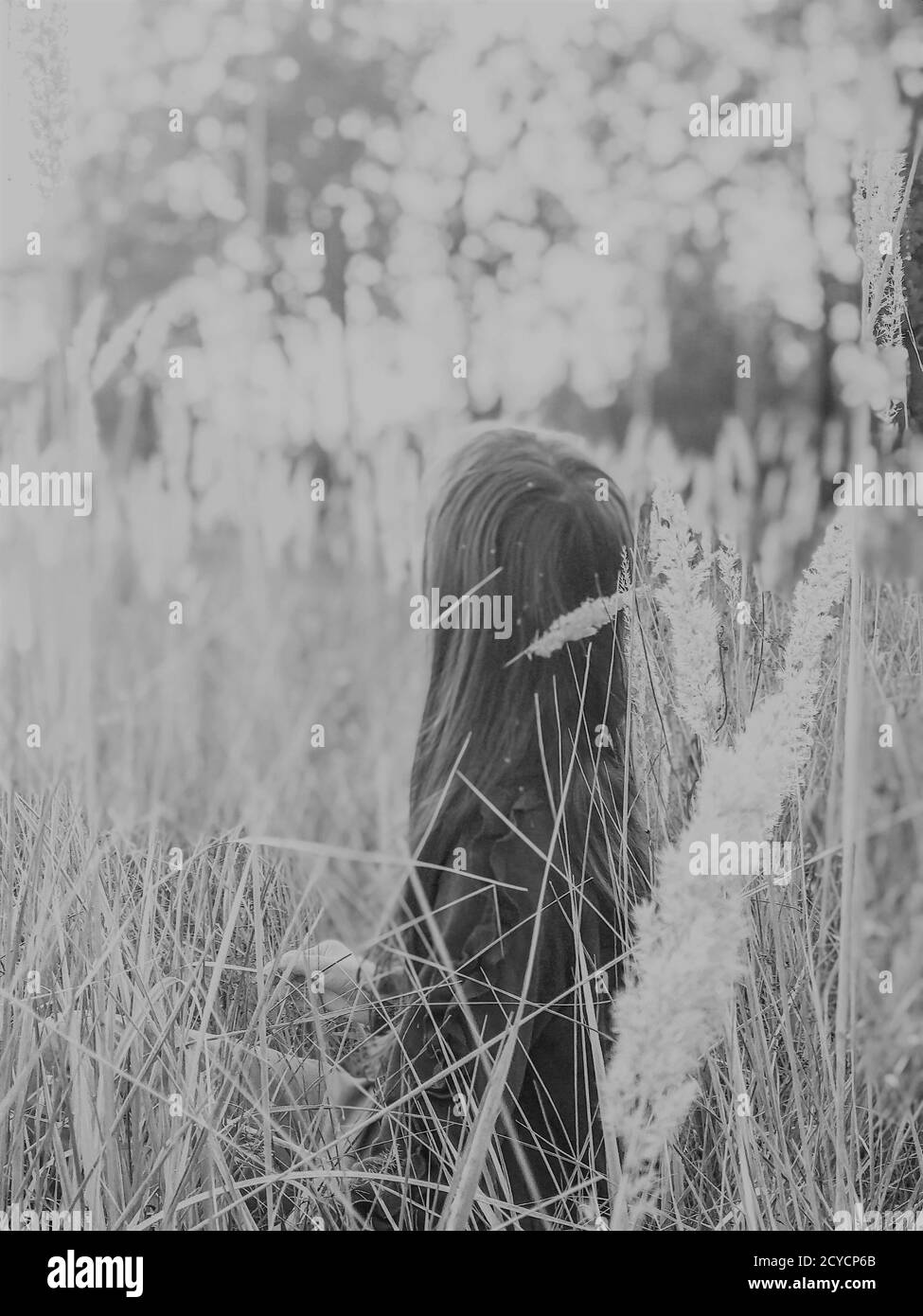Dreamy autunno calore sfocato grigio sfumature foto di una ragazza sedendosi con la schiena alla macchina fotografica in punte fluffy selvagge campo Foto Stock