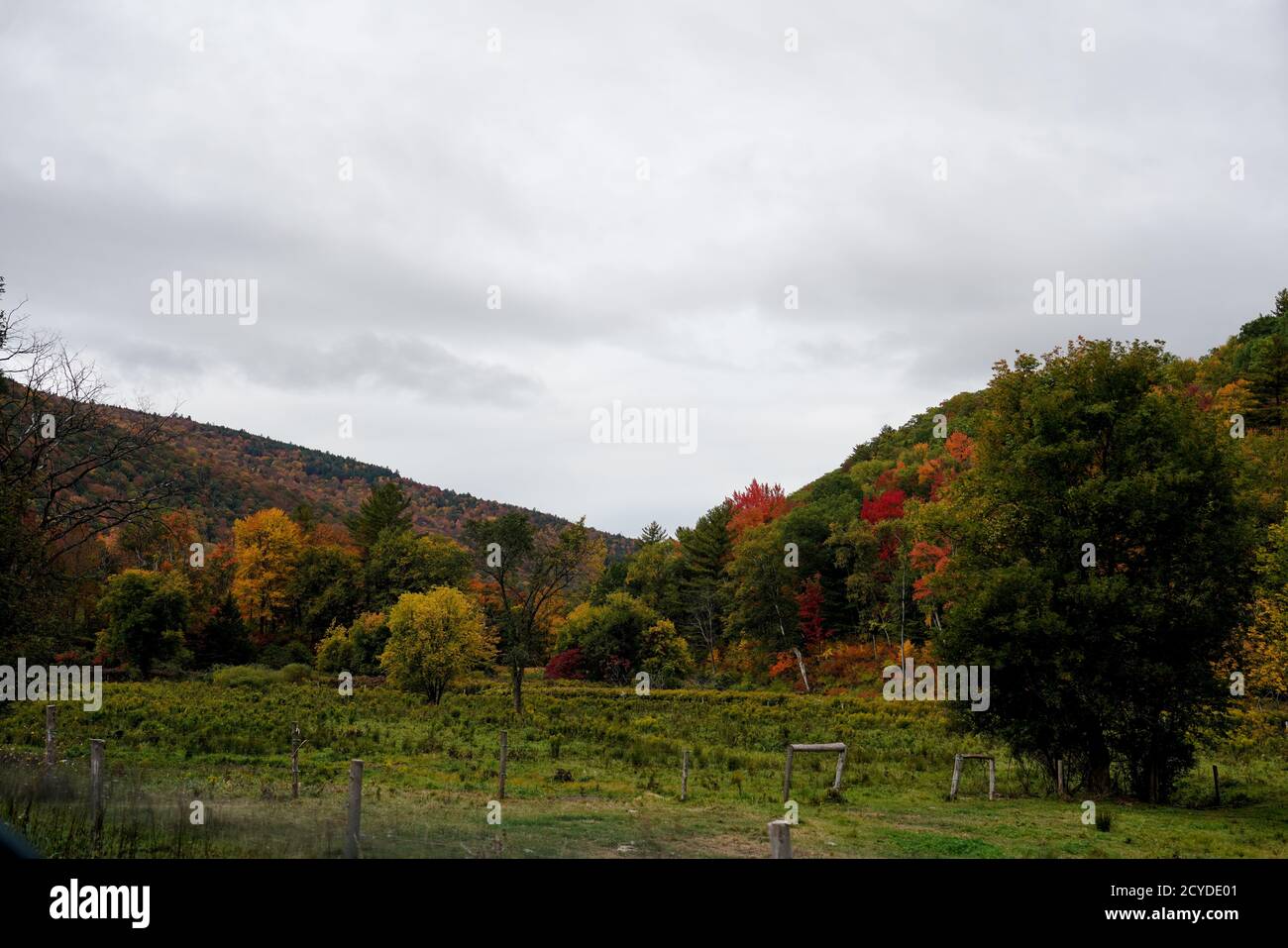 I colori dell'autunno in Vermont Foto Stock