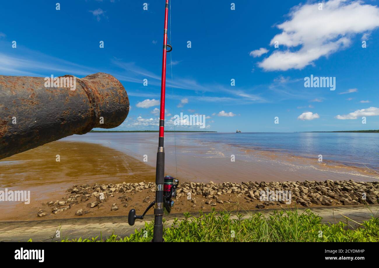 Canna da pesca impiantata nel terreno sul fiume Shores Di Nieuw Amsterdam Suriname Foto Stock