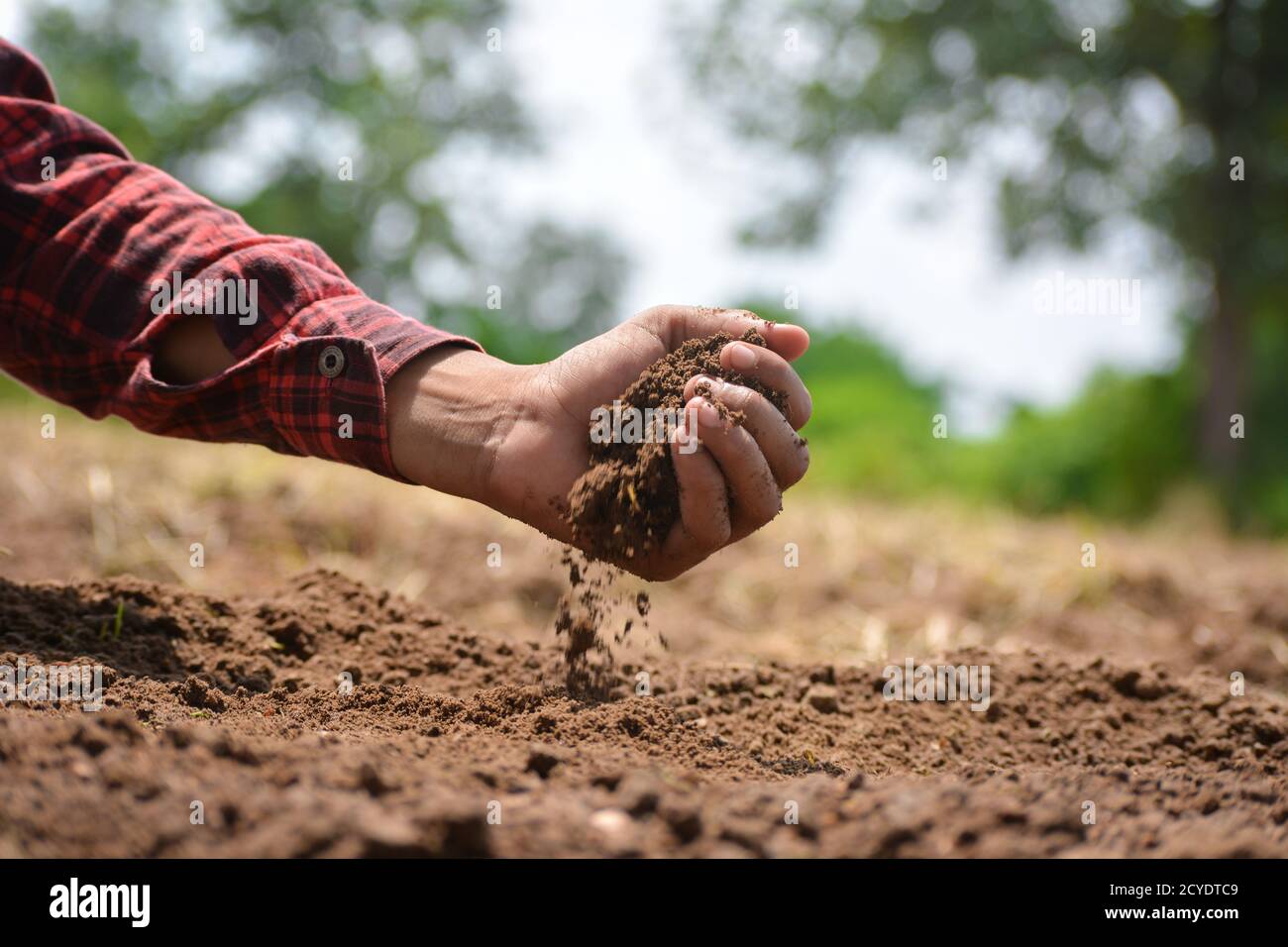 Mano di coltivatore che controlla la salute del suolo prima della crescita un seme di piantina o vegetale. Concetto di agricoltura. Foto Stock