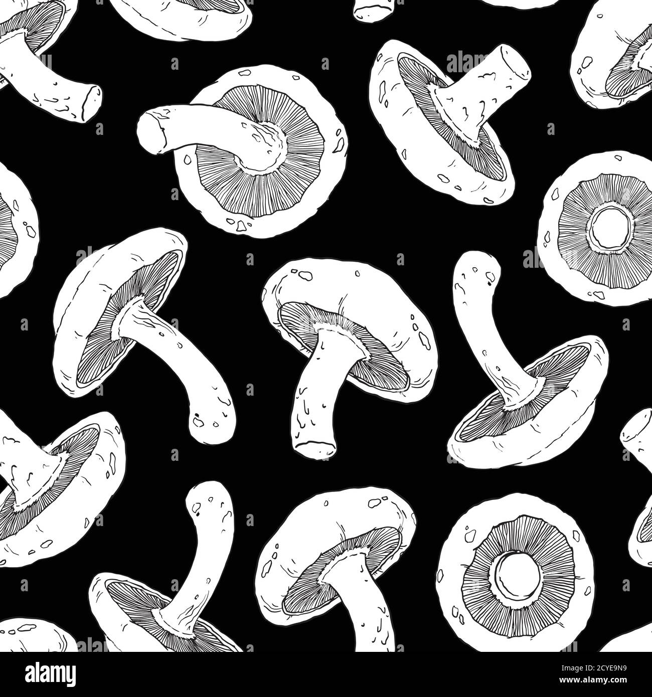 Shiitake funghi modello senza cuciture. I funghi ripetono il modello. Illustrazione vettoriale in bianco e nero. Per la progettazione di superfici, poster, sfondo, Illustrazione Vettoriale