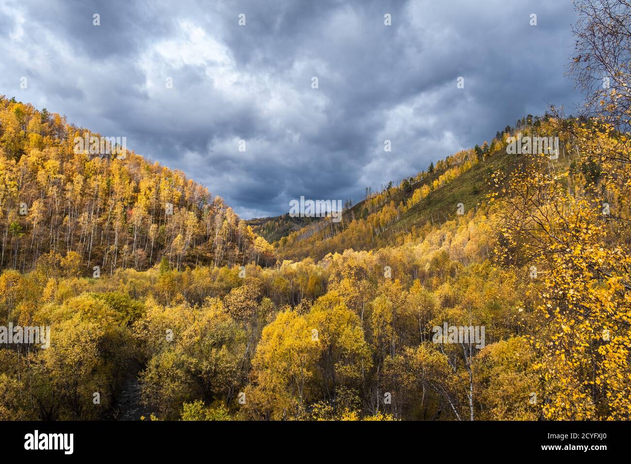 Drammatico cielo tempestoso in montagna in autunno. Paesaggio pittoresco con foresta colorata. Paesaggio naturale lungo il Circum-Baikal Railwai, Russia. Foto Stock