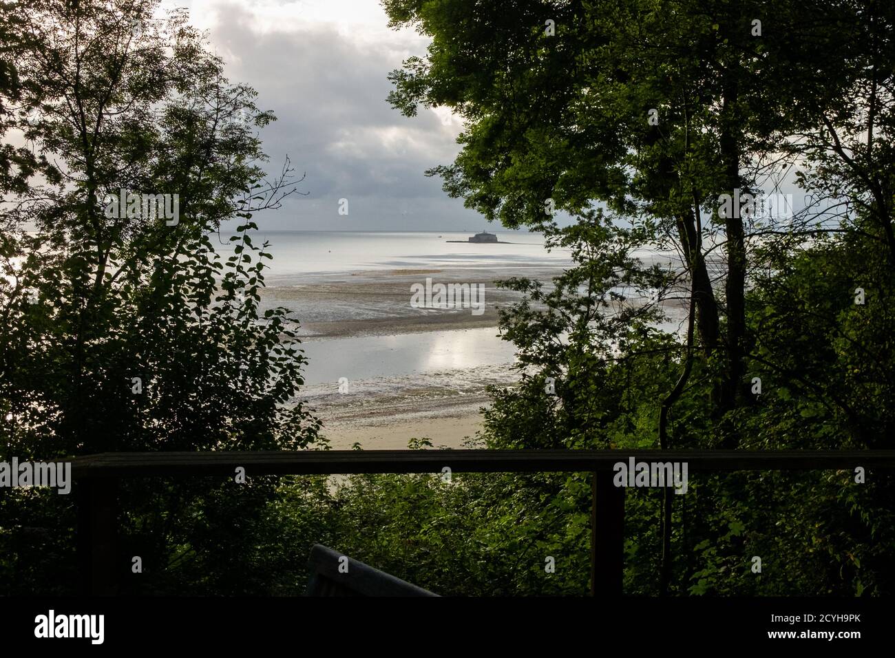 La vista dall'interno degli alberi al Priory Bay Hotel su Priory Beach fuori nel canale inglese sull'Isola di Wight. 22 agosto 2016. Foto: Nei Foto Stock