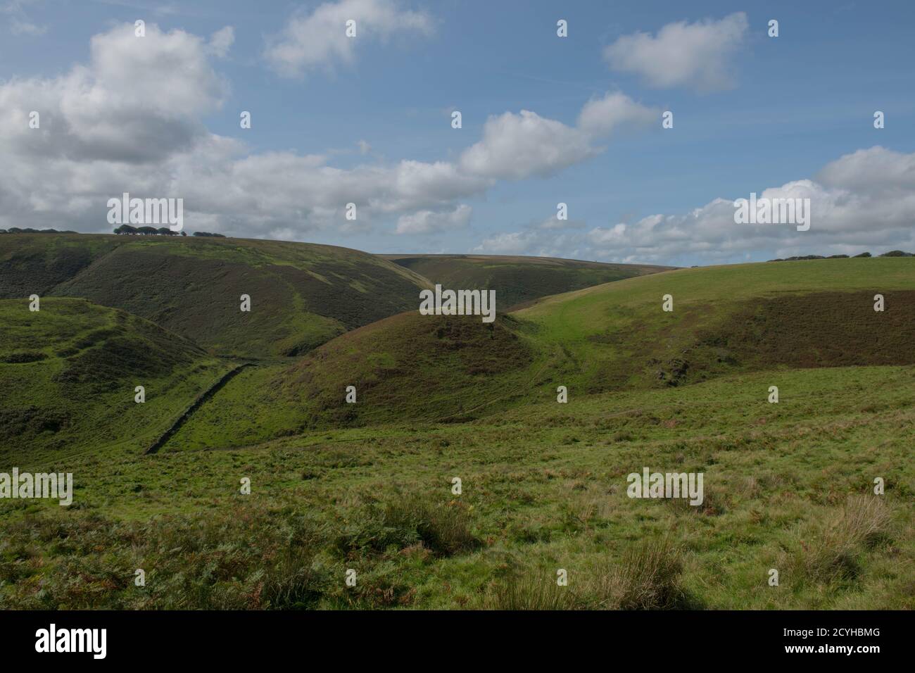 Ex sito del Castello di Cow Iron Age Hill Fort nel fiume Barle Valley sulla Moorland del Parco Nazionale Exmoor nella Cornovaglia rurale, Inghilterra, Regno Unito Foto Stock