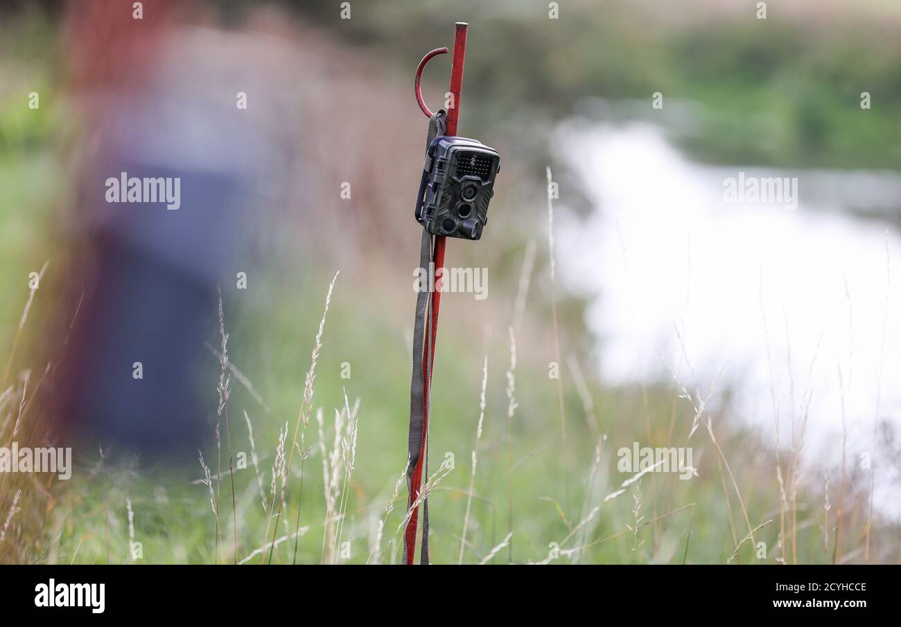 16 settembre 2020, Turingia, Schönewerda: Due macchine fotografiche della fauna selvatica sono installate come trappole della foto sulle rive del Unstrut. Foto: Jan Woitas/dpa-Zentralbild/ZB Foto Stock