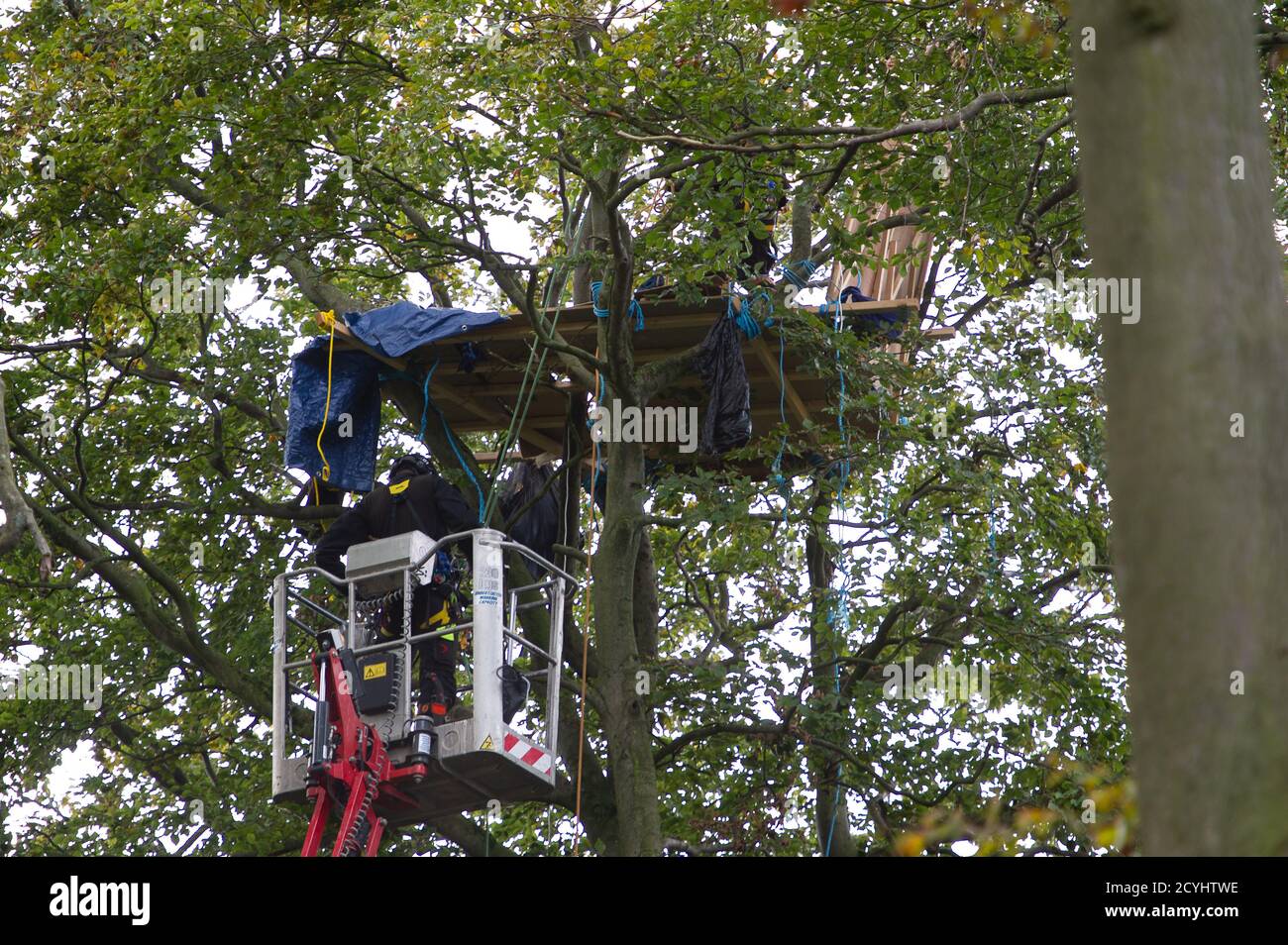 Wendover, Regno Unito. 1 ottobre 2020. Le squadre specializzate abbattere le case degli alberi occupate in alto negli alberi. I pacifici protettori degli alberi e gli attivisti ambientali allo Stop HS2 Jones Hill Protection Camp sono stati sfrattati oggi dalle loro case negli alberi dal National Eviction Team Enforcement Agents lavorando per conto di HS2 Ltd. Il bilancio over e controverso HS2 High Speed Rail link da Londra a. Il progetto di Birmingham mette a rischio di danni o distruzione 108 boschi antichi, 693 siti naturali e 33 SSI. Credito: Maureen McLean/Alamy Foto Stock