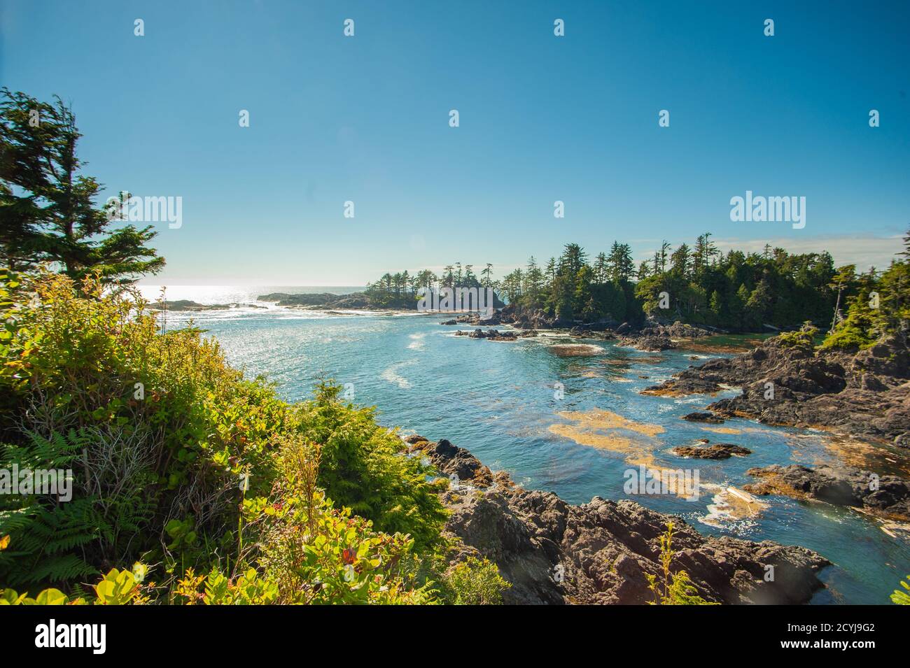 Vista pittoresca della costa occidentale dell'isola di Vancouver con le sue isole selvaggiamente aspre e boschive durante la marea. Foto Stock