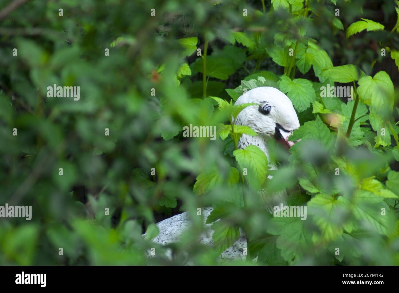 Una cicogna di gesso nascosta nell'erba e nei fiori del giardino. Foto Stock