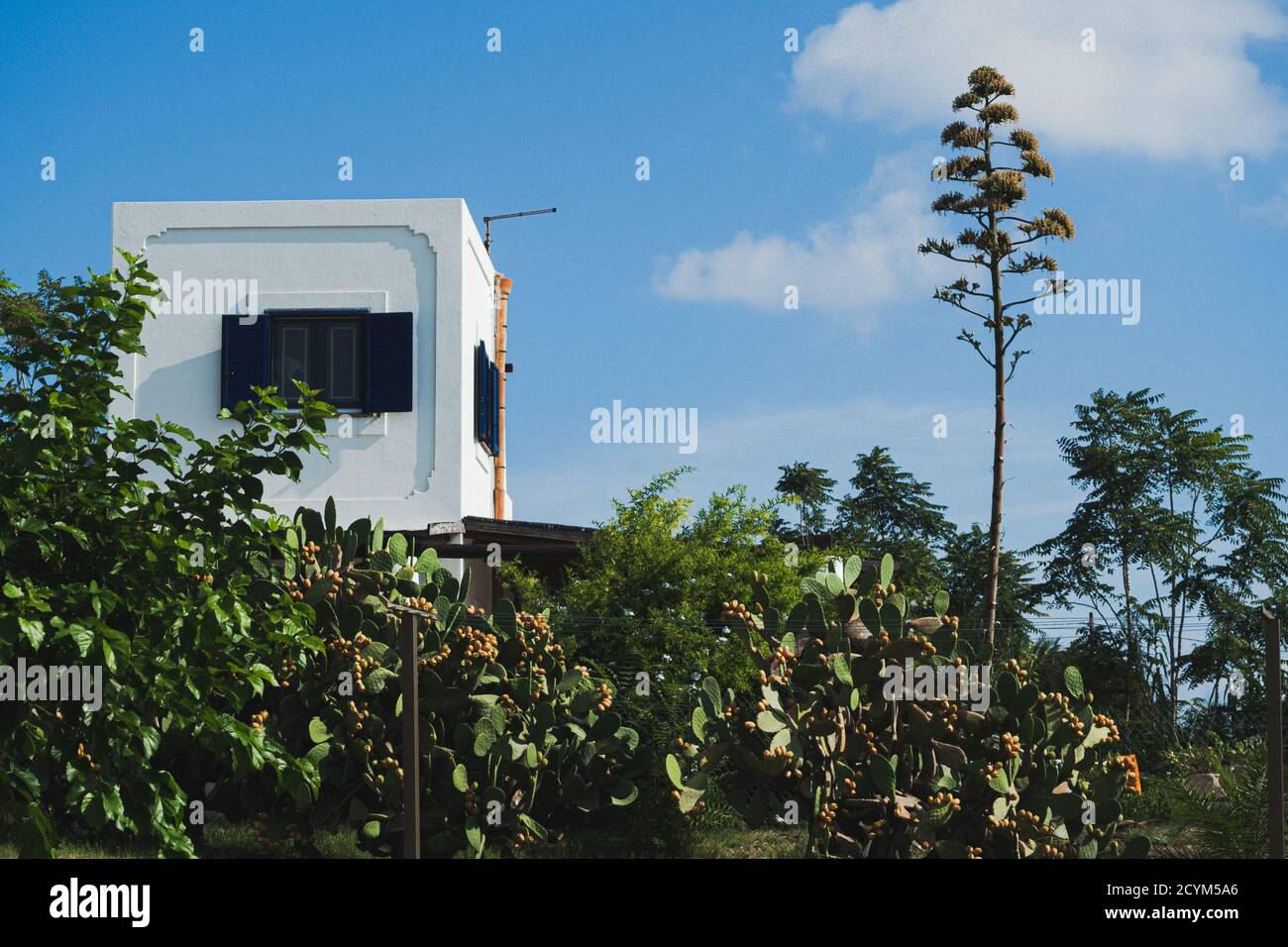 Stromboli, Sicilia, Italia Foto Stock