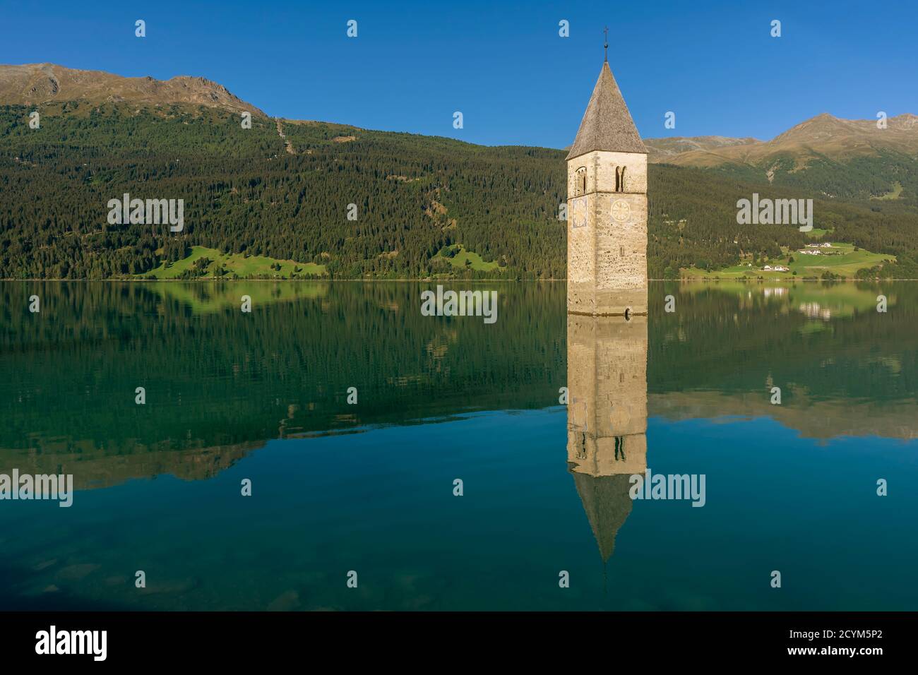 L'antico campanile di Curon Venosta si riflette perfettamente nelle acque fertose del Lago di Resia, Alto Adige, Italia Foto Stock