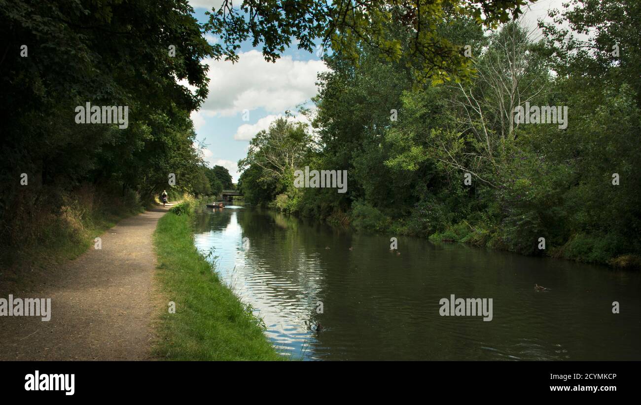 Chichester canale towpath in una giornata di sole. Foto Stock
