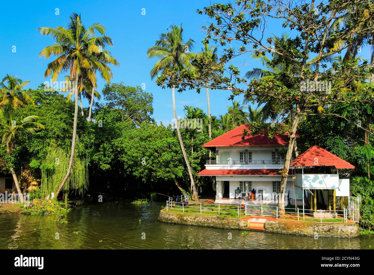 Casa sulle palme retroscete che attraggono popolari crociere turistiche houseboat qui; Alappuzha (Alleppey), Kerala, India Foto Stock