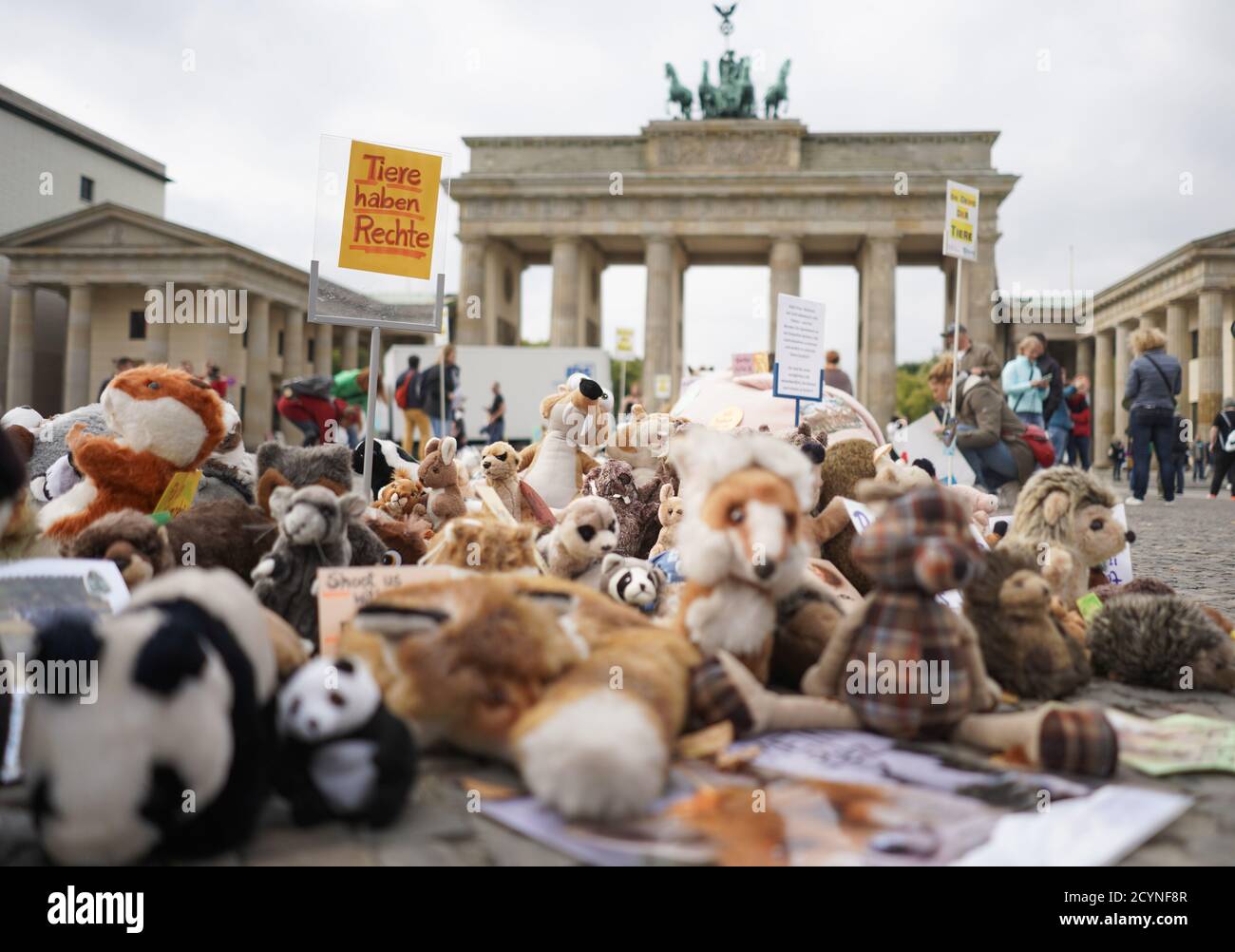 Berlino, Germania. 02 ottobre 2020. Gli animali imbalsamati si trovano sul terreno non lontano dalla porta di Brandeburgo, con un cartello che indica "gli animali hanno diritti". Con gli animali imbalsamati di fronte alla porta di Brandeburgo, il "Bund gegen Missbrauch der Tiere e.V." dimostra (bmt) per una maggiore protezione degli animali in occasione della Giornata mondiale della protezione degli animali del 4 ottobre. Credit: Jörg Carstensen/dpa/Alamy Live News Foto Stock