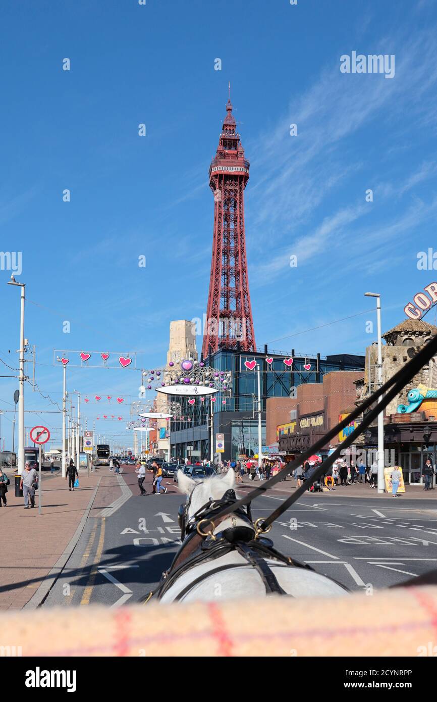 Blackpool torre e passeggiata vista da una carrozza trainata da cavalli Foto Stock