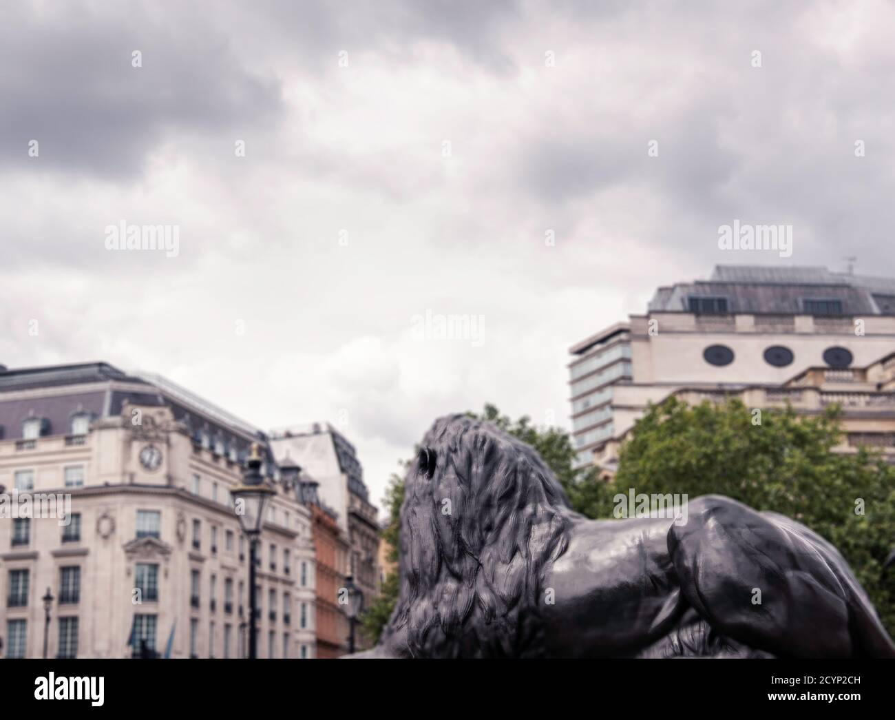 Una statua del leone di Landseer in Trafalgar Square, Londra, Regno Unito. Foto Stock