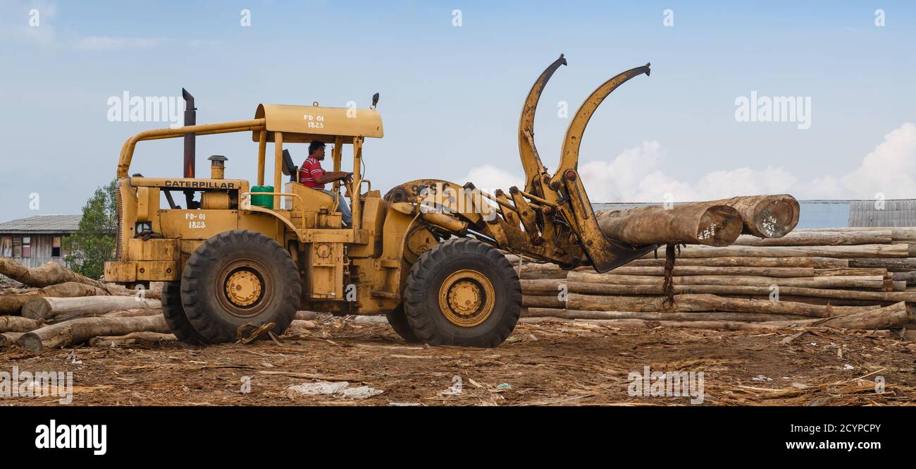 Sandakan, Sabah: Un bulldozer gommato con un utensile per la cattura di tronchi in una fabbrica di legno compensato Foto Stock