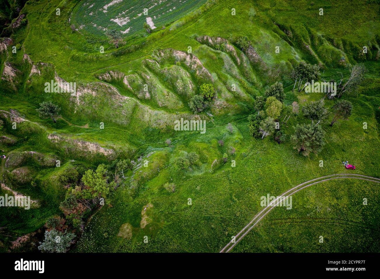 Verdi colline e burroni visti dall'alto, naturale estate sfondo stagionale dal drone Foto Stock