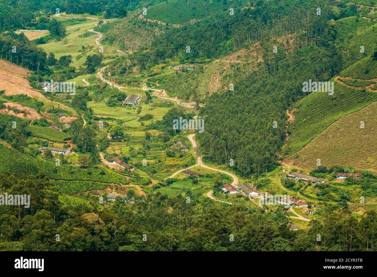 Valle con le case dei lavoratori forniti dalla società a Lakshmi tè tenuta nelle colline Kannan Devan a ovest di Munnar; Lakshmi, Munnar, Kerala, India Foto Stock