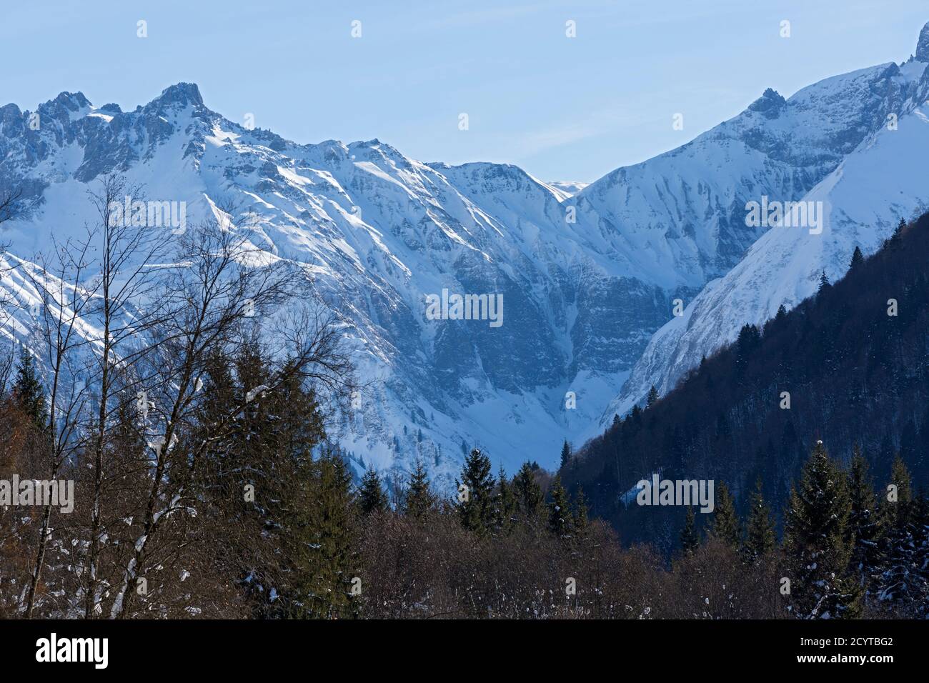 Tertachtal, Winterlandschaft; Wald, Berge, schneebedeckt, Oberstdorf, Allgaeuer Alpen Foto Stock