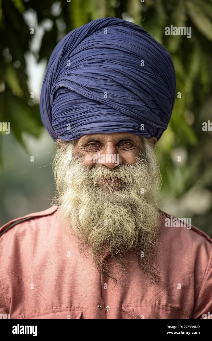 Ritratto di un vecchio Sikh di etnia indiana con una barba bianca e boscata. Foto Stock
