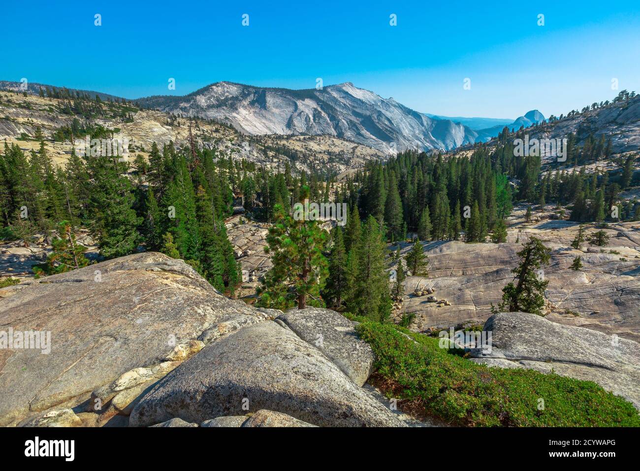 Punto panoramico di Olmsted nel Parco Nazionale di Yosemite, California, Stati Uniti d'America. Nubi Rest è sulla sinistra, Half Dome è sulla destra e. Foto Stock