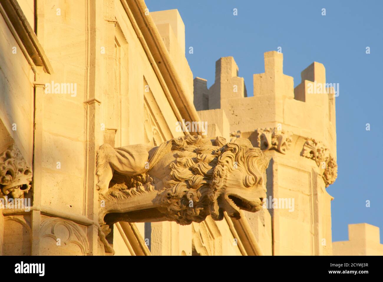 Gargola.La Llotja , siglo XV..Palma Mallorca.Islas Baleares. España. Foto Stock