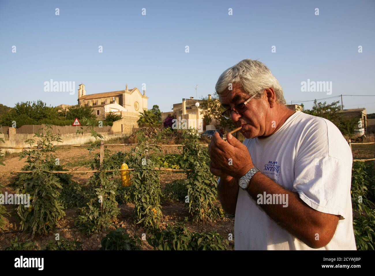 Huerto. Es Carritxo.Felanitx.Mallorca.Islas Baleares. España. Foto Stock