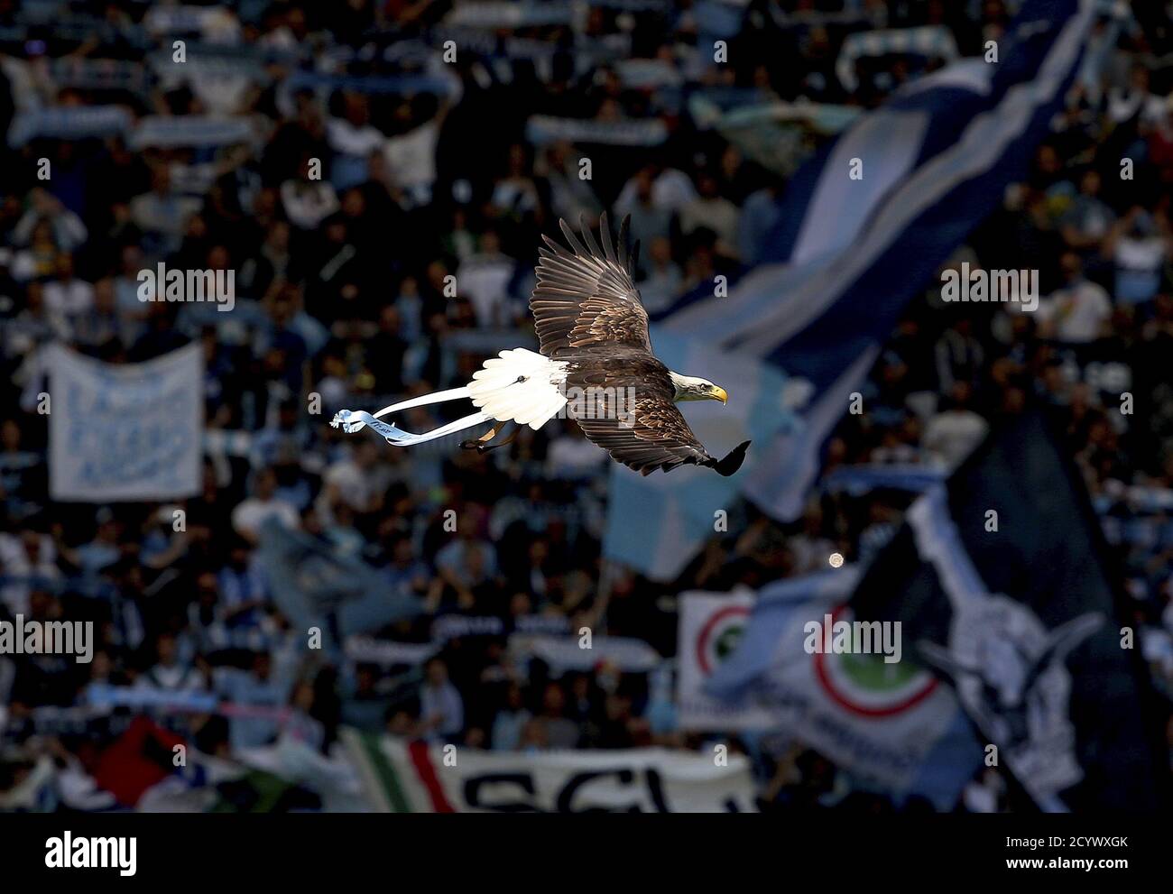 La mascotte laziale, un'aquila a testa bianca chiamata Olimpia, vola prima dell'inizio della loro Serie Italiana UNA partita di calcio contro Empoli allo stadio Olimpico di Roma il 12 aprile 2015. REUTERS/Alessandro Bianchi Foto Stock
