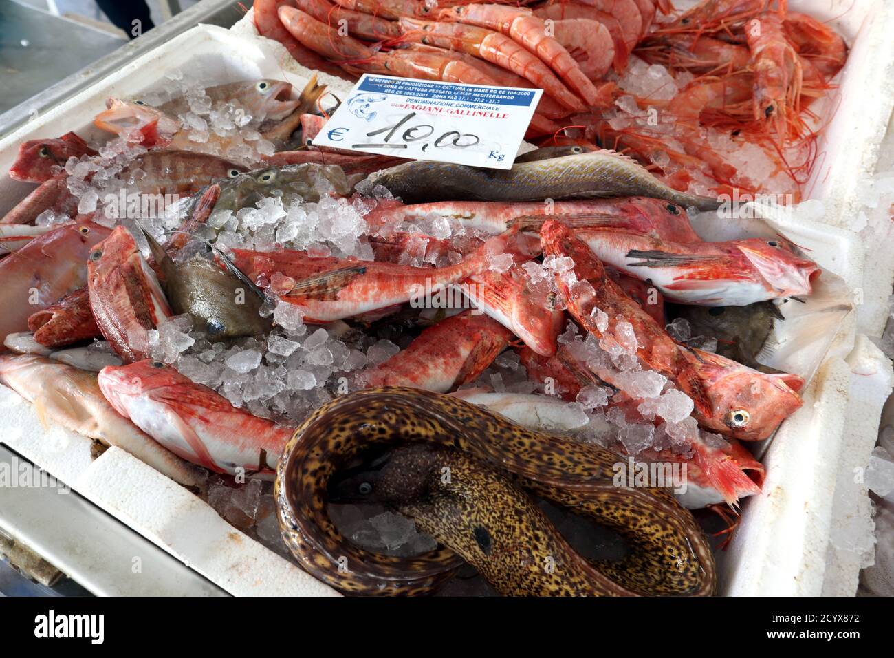 Selezione di pesce fresco in uno stand di mercato a Trapani Sicilia Foto Stock